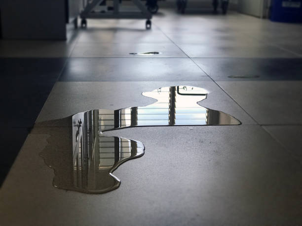 Best Water damage contractors near me  in Flagstaff, AZ