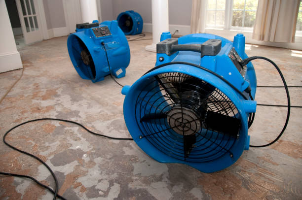 Best Flood damage cleanup  in Flagstaff, AZ