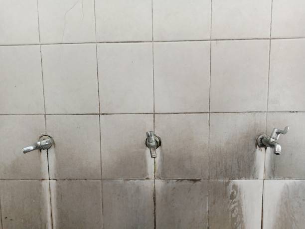 Best Flood restoration services  in Flagstaff, AZ