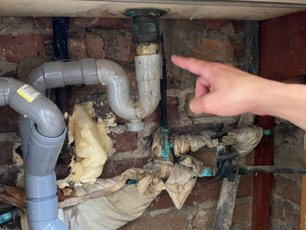 Best Sewage cleanup and water damage restoration  in Flagstaff, AZ
